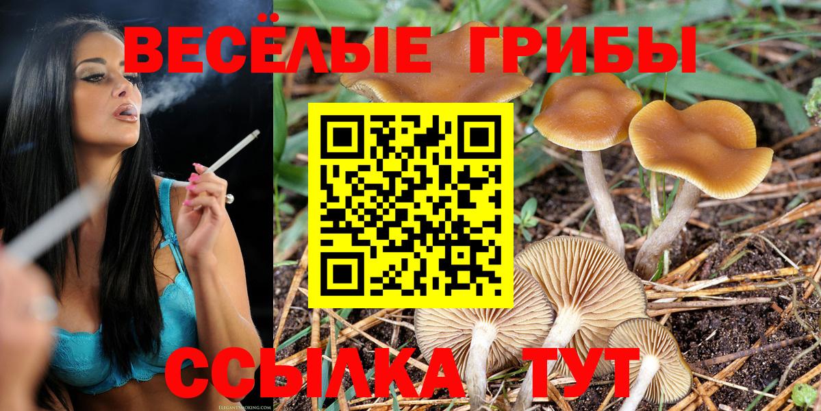 Семилуки  Галлюциногенные грибы Magic Shrooms  Псилоцибиновые грибы Psilocybe  Вход с VPN 