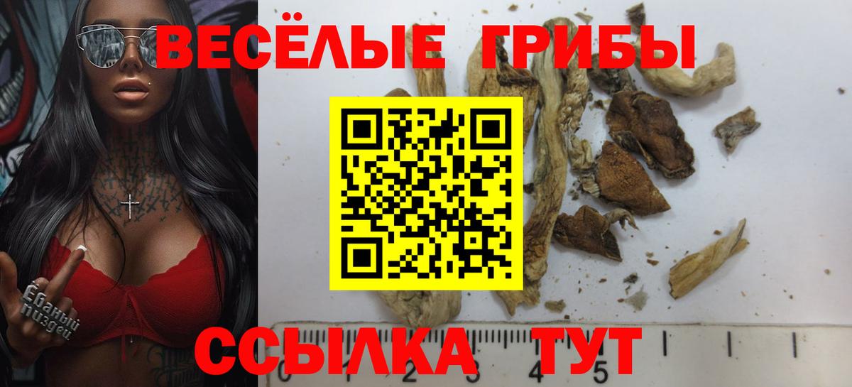 A PVP Семилуки